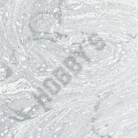 Marble Paint - Silver