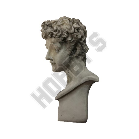 Bust of "David"