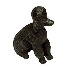 Dog - Black Poodle