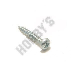 Self Tapping Screws 12mm      