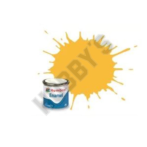 Trainer Yellow Paint