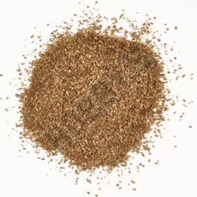 Earth Brown Scatter