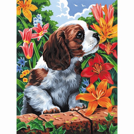 Painting By Numbers - Puppy 