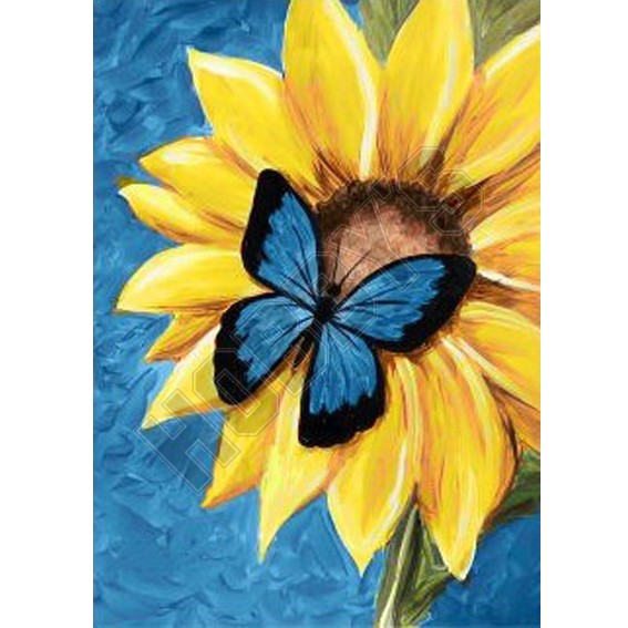 Butterfly & Sunflower