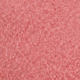 Petal Pink Carpet