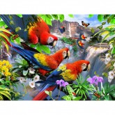 Flight Of The Macaw Puzzle