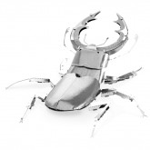 Stag Beetle Model