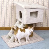 Cat Tree House Design