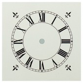 White Painted Dial 
