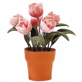 Flowers in Flowerpot