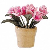 Flowers in Flowerpot