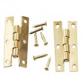 Gold-Plated 'H' Hinge
