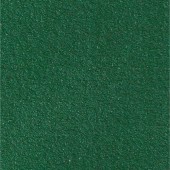 Green Fernstone Coating