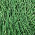 Field Grass - Light Green