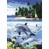 Painting By Numbers - Dolphin Encounter