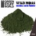 N.P Wild Moss 2